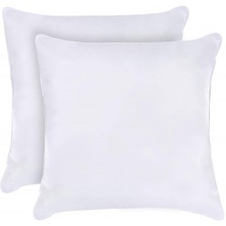 Decorative Pillow Insert...